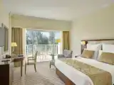 Двухместный номер Deluxe with pyramids and museum view