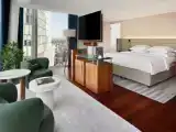 Двухместный полулюкс Skyline