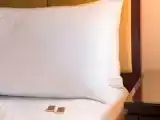 Двухместный люкс Club M
