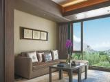 Двухместный люкс Executive with Potala view
