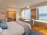 Двухместный номер Club Floor Premier Deluxe