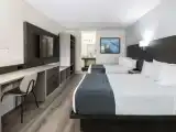 Номер ADA