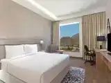 Двухместный номер Guest with Aravalli Range view
