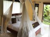 Двухместная вилла Suite с видом на сад