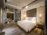 Двухместный Nikko Club люкс Executive
