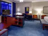 Двухместная Studio Suite
