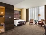 Двухместный номер Lounge Access Spacious