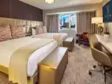Четырёхместный номер Style Marra Downtown View