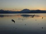 Soir d'automne sur mon lac - Bientôt, se confondront le lac et le vallon... (Chris) Soir d'automne sur mon lac - Bientôt, se confondront le lac et le vallon... (Chris)