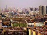 杰作--城市森林 杰作--城市森林