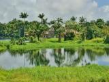 Waikia Pond and Village