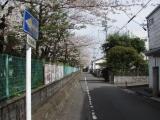 Shizuoka high school Shizuoka high school