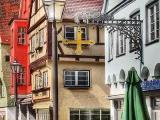 Drache in der Kalchstrasse Drache in der Kalchstrasse