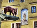 Elefant und Storch Elefant und Storch