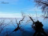 Regard photographique Regard photographique