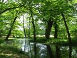 Park zamkowy w Mosznej Park zamkowy w Mosznej