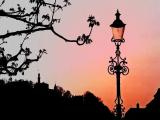 Lucerne Skyline