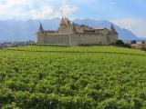 Aigle