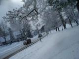 Inverno em Bridgeport , CT , USA 