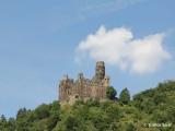 On the banks of River Rhine, Germany - July 2013 On the banks of River Rhine, Germany - July 2013