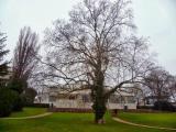 Villa Tugendht Villa Tugendht