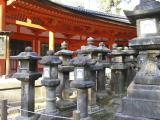 Stone Lanterns at Kasuga Shrine, Nara. Stone Lanterns at Kasuga Shrine, Nara.