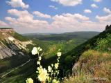 Долина Биюк-Ашлама. Долина Биюк-Ашлама.
