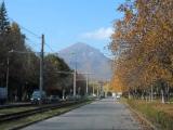 Золотая Ромашка