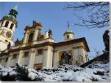 Loreta innevata Loreta innevata