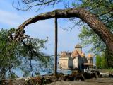 Chateau de chillon et pin penché Chateau de chillon et pin penché