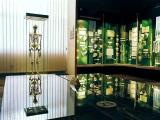 National Museum - human bones and skulls :) National Museum - human bones and skulls :)
