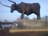 Rakvere