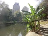 San Antonio: Downtown & Riverwalk