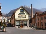 Montreux, Avenue des Alpes 2