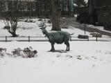 zoo
