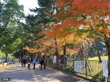 奈良公園071124 奈良公園071124