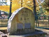 興福寺071124 興福寺071124