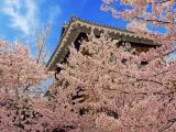 Matsuyama Castle