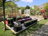 ART-GARDEN, Amriswil 2014 ART-GARDEN, Amriswil 2014