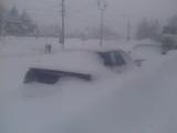 "Озимые" машины_25.03.13