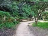 EL NOU PASSEIG DE SANT DANIEL (GIRONA) EL NOU PASSEIG DE SANT DANIEL (GIRONA)