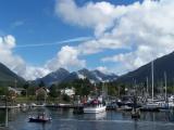 Fishing fleet