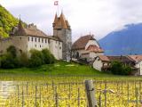 Schloss Aigle im Fruehling