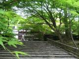 Ryoan-ji Tmple Ryoan-ji Tmple