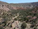 Cañada Atravesada, S of Soza Canyon, San Pedro River Valley, W of Cascabel, AZ