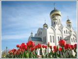 Tulips + Temple / Тюльпаны + храм Tulips + Temple / Тюльпаны + храм