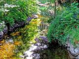 From the Sandved park
