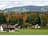 IMG_1329 IMG_1329