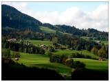 IMG_1330 IMG_1330