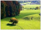 IMG_1438 IMG_1438